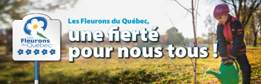 Programmation personnalisée Formulaire d’adhésion en ligne