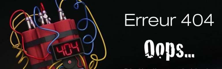 WordPress et le danger des pages d’erreur 404