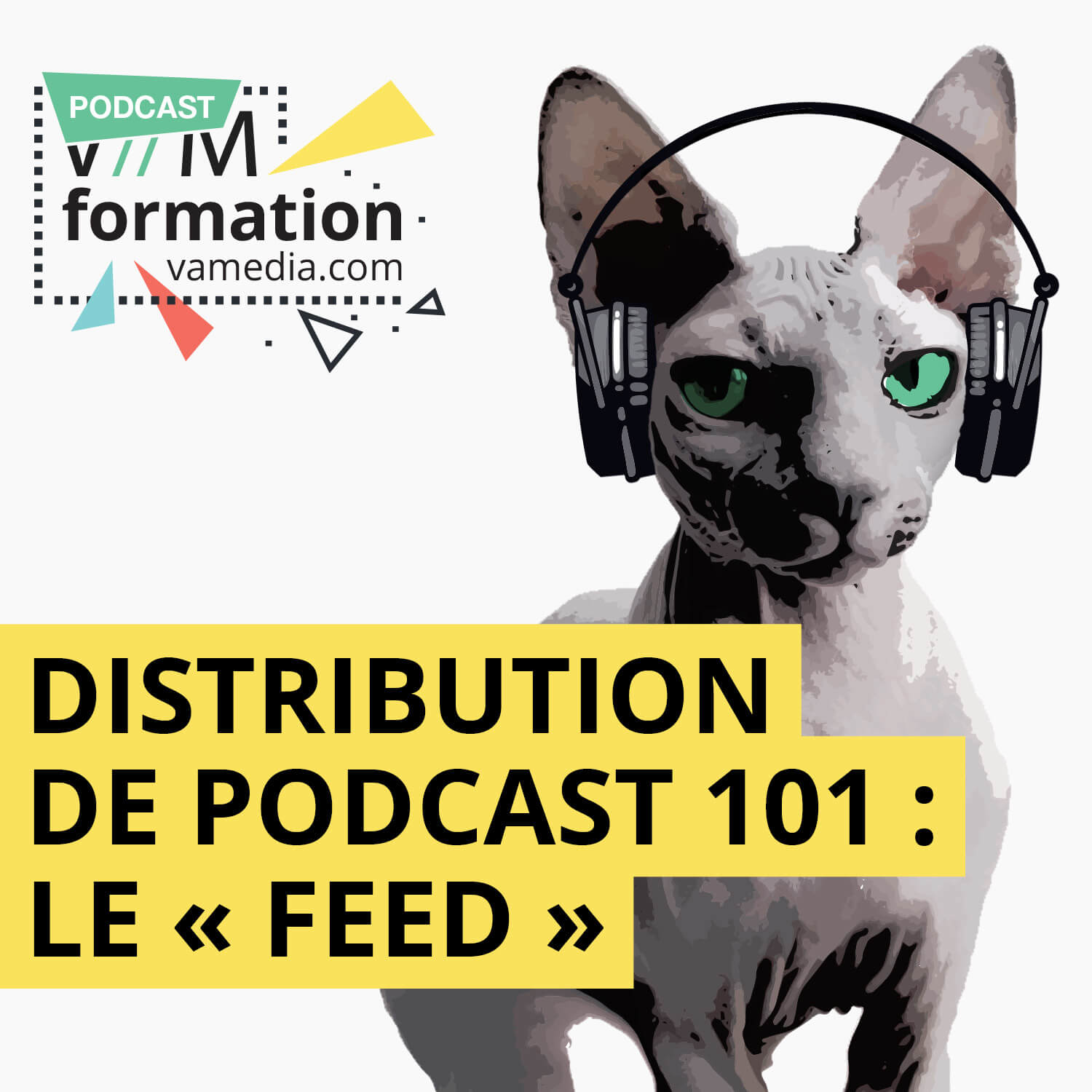 Formation: Deviens un vrai podcasteur (vidéo)
